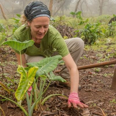 As part of conservation work in Ecuador for volunteers over 50, volunteers assist with the reforestation of areas with indigenous plants. As part of her Conservation work in Ecuador for older adults, a Projects Abroad volunteer helps planting indigenous plants.